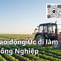 Làm Nông Nghiệp Ở Úc