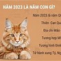 Tết Năm 2023 Tuổi Con Gì